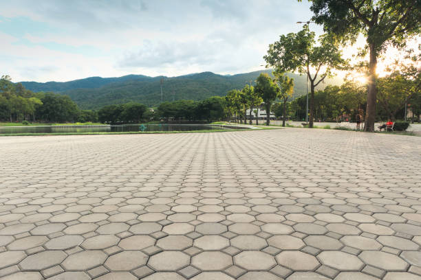 Best Best Driveway Pavers  in Tyler, TX